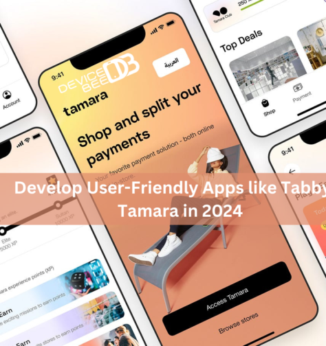 Ultimate Cost to Develop User-Friendly Apps like Tabby & Tamara in 2024